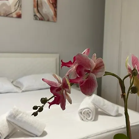 One-bedroom Near U.s. Embassy 公寓 地拉那