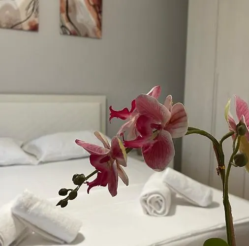 One-bedroom Near U.s. Embassy Apartment Tirana